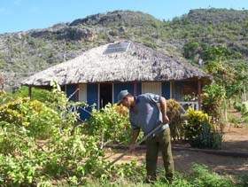 Fincas forestales.jpg