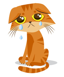 Gatito sin amigos.jpg