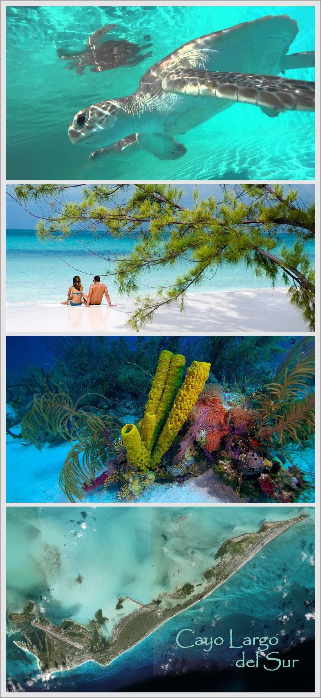 Cayo Largo del Sur EcuRed