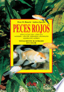 Pecesrojoss.jpg
