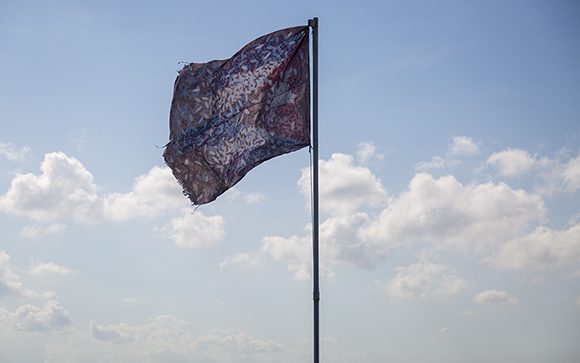 Archivo:4 michel-mirabal-La bandera de Finca Calunga.jpg