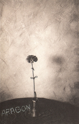 OBRA DE MARIA LUISA ROJO.jpg