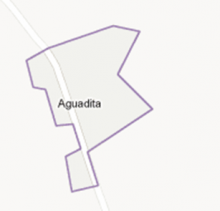Aguadita ssp.png