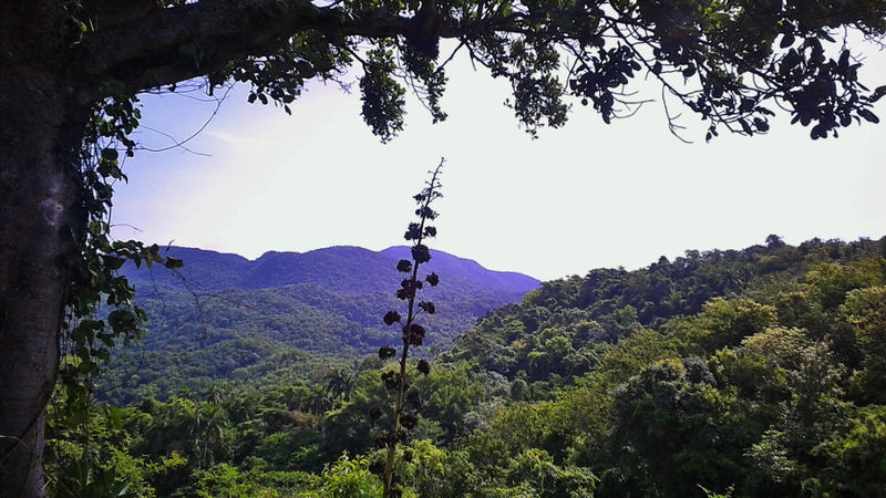 Archivo:Topes de Collantes 001.jpg