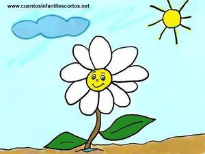 La margarita blanca.jpg