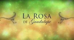 La rosa de Guadalupe (telenovela).jpg