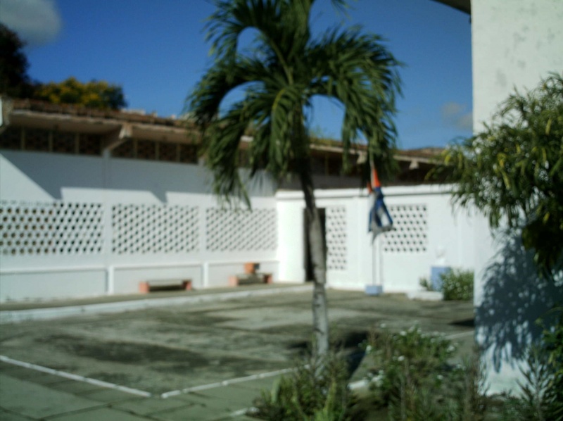 Archivo:Verdes Primaveras.JPG