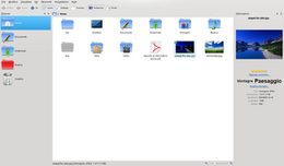 300px-Dolphin-screenshot.png