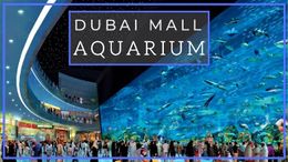 AcuariumDubai.jpg