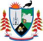 Escudo de El Paujil