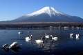 Miniatura de la versión del 10:13 14 oct 2011