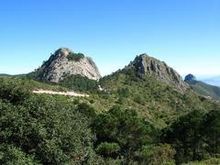 Pueblo de Álamo en Hidalgo.jpg
