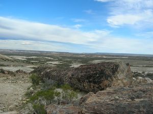 472x 20170801103404 Bosque petrificado 1.JPG