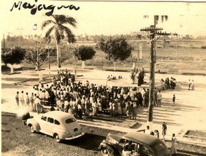 Actividades en el parque.jpg