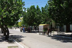 Lajas Calle Dr. Machín.jpg