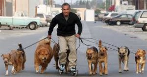 Cesar y sus perros.jpeg