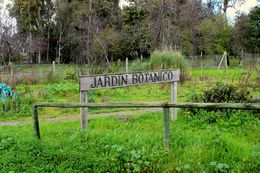 Jardín Botánico Universidad de Talca.jpg