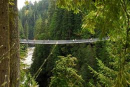 Capilano2.jpg