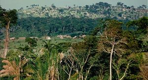 Chiquitania.jpg