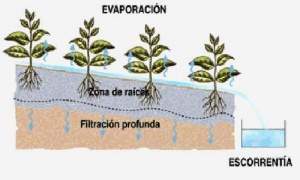 Escorrentía.jpg