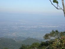 Alamos de los fierros.jpg