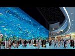 AcuariumDubai1.jpg