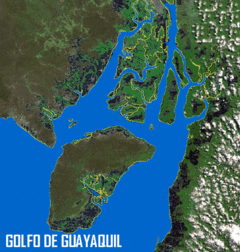 Golfo de Guayaquil.gif