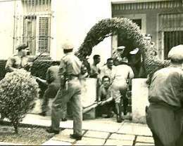 Orfila02.jpg