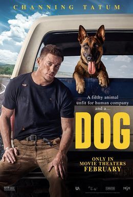 Dog-263685812-large.jpg