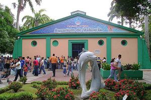 Aquarium-de-Valencia.jpg