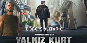Lobo solitario1.jpg