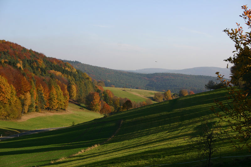 Archivo:Parque natural Spessart 1.jpg