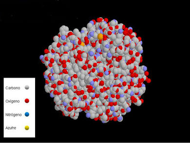 Bioelementos - EcuRed