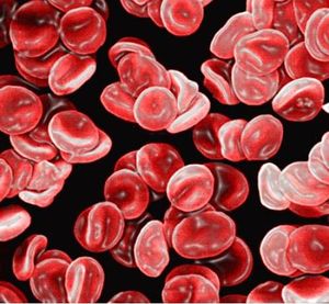 Hematología1.JPG