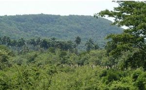 Najasasierra.JPG