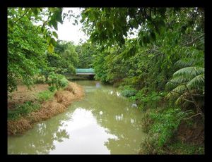 Rio-camuy.jpg