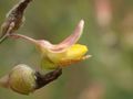 Miniatura de la versión del 14:00 8 may 2025