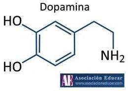 Dopamida.jpg