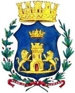 Escudo de bejucal.jpg