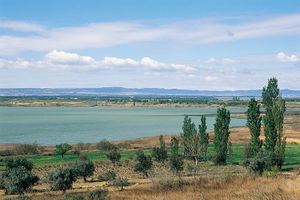 Laguna de Sariñena.jpg