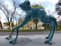 Rana de la fortuna1.jpg