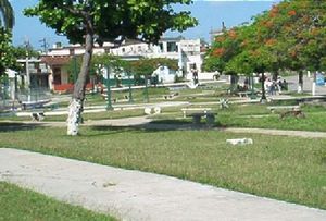 Barrio Ceiba.JPG