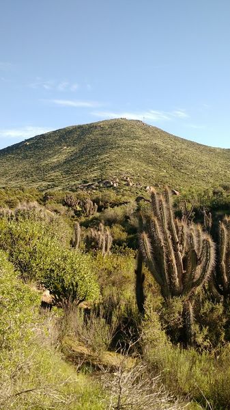 Archivo:Cerro Guanaqueros.jpg