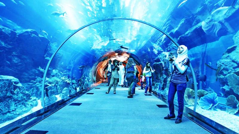 Archivo:AcuariumDubai4.jpg
