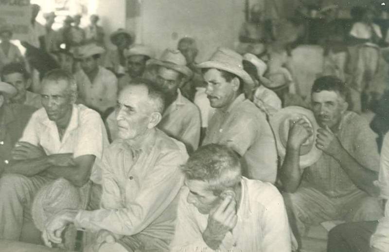 Archivo:Organización.jpg
