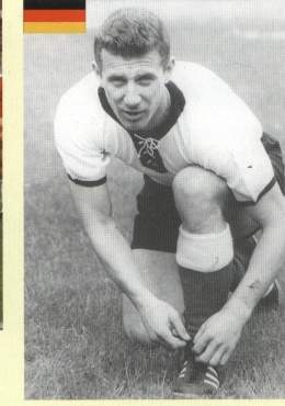 Schafer.jpg