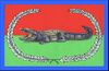 Bandera de Ciénaga de Zapata