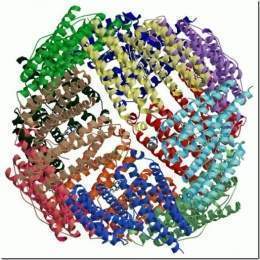 Holoproteina-1.jpg