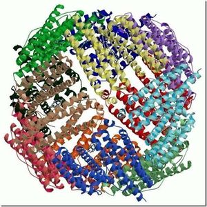 Holoproteina-1.jpg