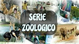 Serie-zoo.jpg
